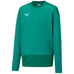Puma TeamGoal 23 Training Sweat – Pepper Green