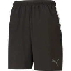 Puma TeamLiga Sideline Short – Puma Black
