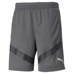 Puma TeamFinal Training Training Short – Smoked Pearl