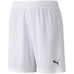 Puma TeamGoal 23 Knit Short – Puma White
