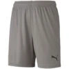 Puma TeamGoal 23 Knit Short – Steel Gray