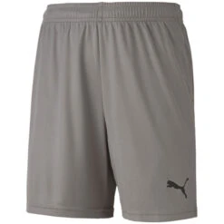 Puma TeamGoal 23 Knit Short – Steel Gray