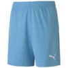 Puma TeamGoal 23 Knit Short – Team Light Blue -Sportbekleidungs Geschäft 704263 18