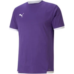 Puma TeamLiga Trikot Jersey – Prism Violet
