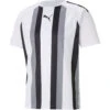 Puma TeamLiga Striped Trikot Jersey – Puma White 2 Puma TeamLiga Striped Trikot Jersey – Puma White -Sportbekleidungs Geschäft 704920 04