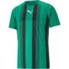 Puma TeamLiga Striped Trikot Jersey – Pepper Green -Sportbekleidungs Geschäft 704920 05