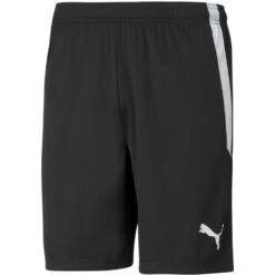 Puma TeamLiga Short – Puma Black