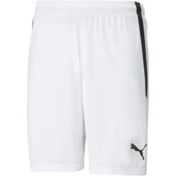Puma TeamLiga Short – Puma White