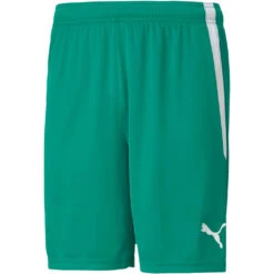 Puma TeamLiga Short – Pepper Green