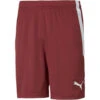 Puma TeamLiga Short – Cordovan -Sportbekleidungs Geschäft 704924 09