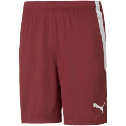 Puma TeamLiga Short – Cordovan