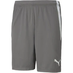 Puma TeamLiga Short – Smoked Pearl