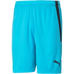 Puma TeamLiga Short – Blue Atoll