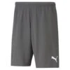 Puma TeamRise Short – Smoked Pearl -Sportbekleidungs Geschäft 704942 13
