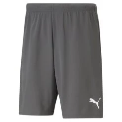 Puma TeamRise Short – Smoked Pearl