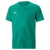 Puma TeamGlory Trikot Jersey – Pepper Green -Sportbekleidungs Geschäft 705309 05