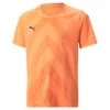Puma TeamGlory Trikot Jersey – Neon Citrus -Sportbekleidungs Geschäft 705309 21