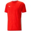 Puma TeamCup 23 Trikot Jersey – Puma Red
