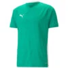 Puma TeamCup 23 Trikot Jersey – Pepper Green