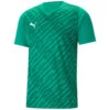 Puma TeamUltimate 23 Trikot Jersey – Pepper Green -Sportbekleidungs Geschäft 705371 05