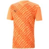 Puma TeamUltimate 23 Trikot Jersey – Neon Citrus -Sportbekleidungs Geschäft 705371 21