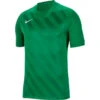 Nike Challenge III Trikot – Pine Green/pine Gree -Sportbekleidungs Geschäft BV6703 302