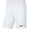 Nike Park III Short – White/black