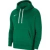 Nike Park 20 Fleece Hoodie – Pine Green/white
