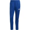 Adidas Tiro 21 Training Pant – Royal Blue 1 Adidas Tiro 21 Training Pant – Royal Blue -Sportbekleidungs Geschäft GJ9870