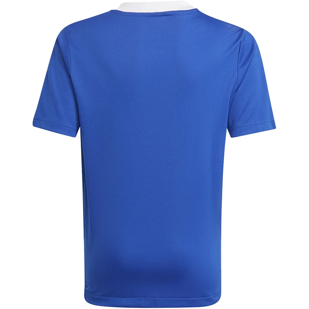 Adidas Tiro 21 Training Jersey – Royal Blue 4 Adidas Tiro 21 Training Jersey – Royal Blue – Bild 2