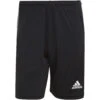 Adidas Tiro 21 Training Short – Black -Sportbekleidungs Geschäft GN2161