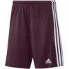 Adidas Squadra 21 Short – Team Maroon/white -Sportbekleidungs Geschäft GN8081
