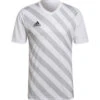 Adidas Entrada 22 GFX Trikot – White/team Light Grey -Sportbekleidungs Geschäft HF0120